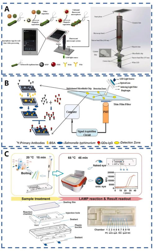 荧光微流控与信息技术融合 食品安全分析的新范式