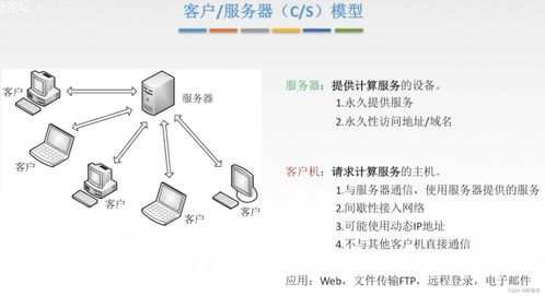 计算机网络基础第六章 计算机软硬件及网络技术开发