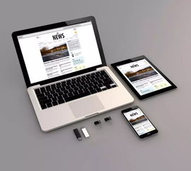 承德网站建设 为何必须选择专业的软硬件与网络技术开发公司