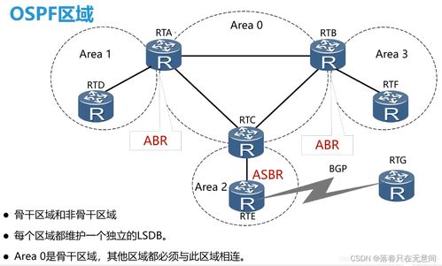 计算机网络课程笔记 网络层核心技术解析